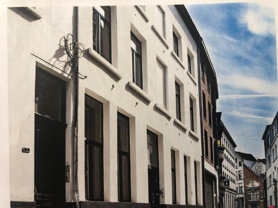 Hippe Studio In Historisch Gebouw In Oude Centrum Антверпен Экстерьер фото